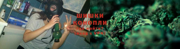 ПСИЛОЦИБИНОВЫЕ ГРИБЫ Лагань