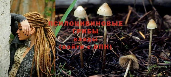 хмурый Кулебаки