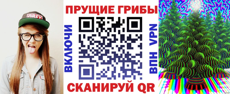 shop клад  Почеп  Галлюциногенные грибы мицелий 